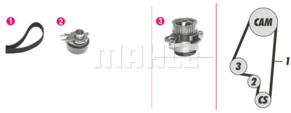 Water Pump & Timing Belt Kit (CPK 10 000P)