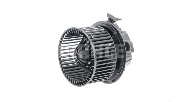 Interior Blower