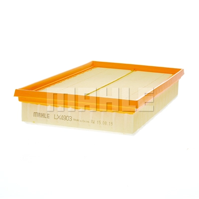 Air Filter (LX 4903)