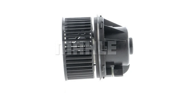 Interior Blower