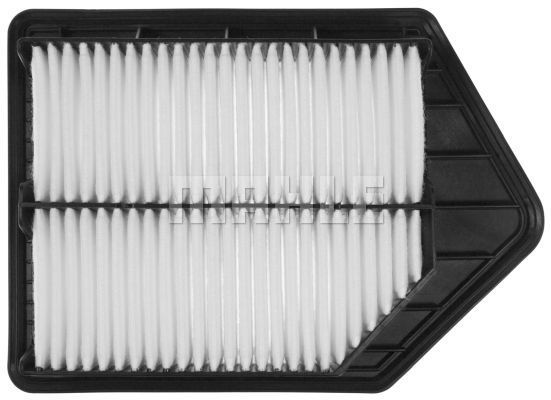 Air Filter (LX 3019)