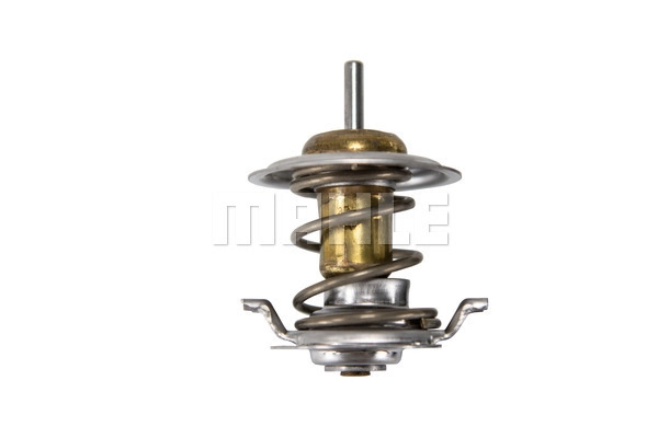 Thermostat, coolant (TX 476 87D)