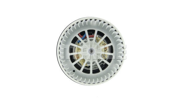 Interior Blower