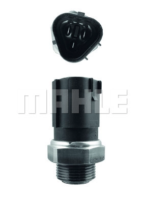 Temperature Switch, radiator fan
