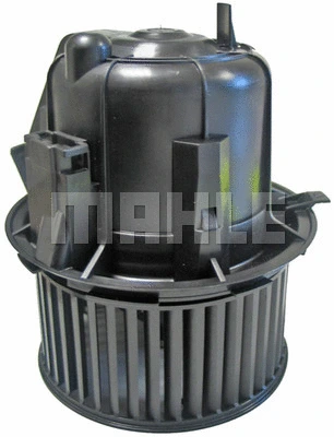 Interior Blower