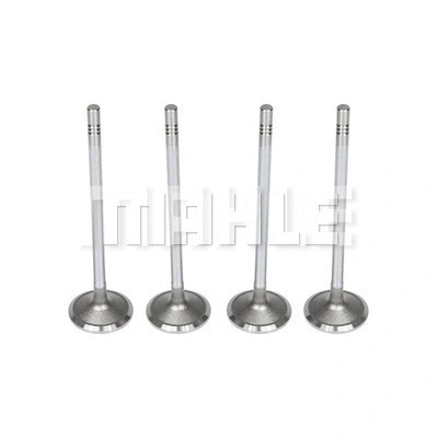 Intake Valve (VA0011467)