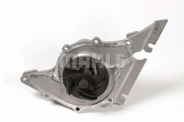 Water Pump & Timing Belt Kit (CPK 11 000P)