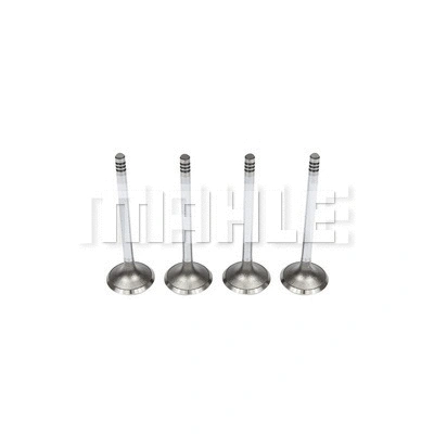 Intake Valve (VA0440569)