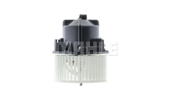 Interior Blower