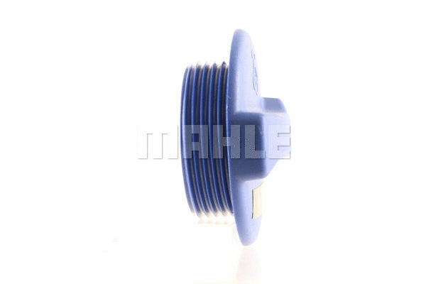 Cap, coolant tank