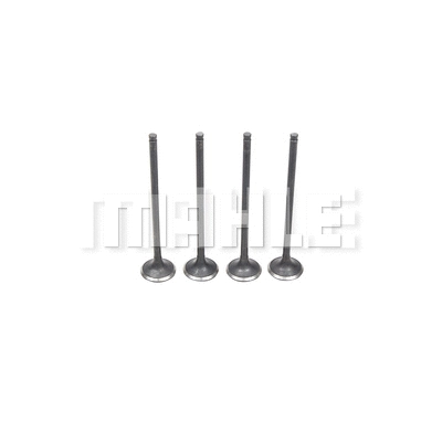 Exhaust Valve (VE0510210)