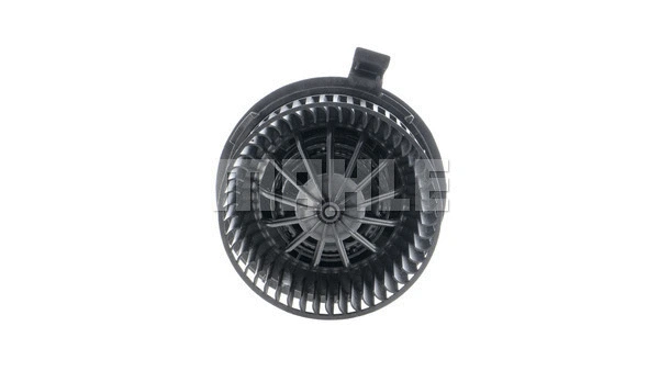 Interior Blower