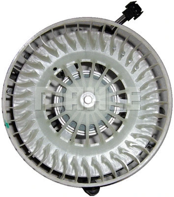 Interior Blower
