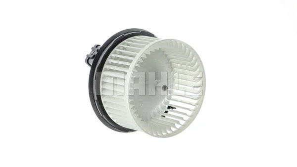 Interior Blower