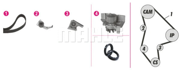Water Pump & Timing Belt Kit (CPK 41 000P)