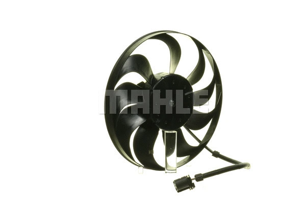 Fan, engine cooling