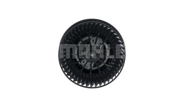 Interior Blower