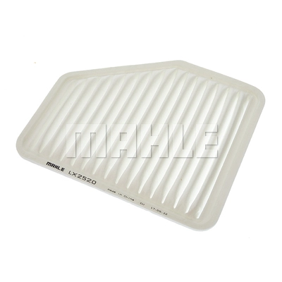 Air Filter (LX 2520)