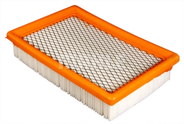 Air Filter (LX 2538)