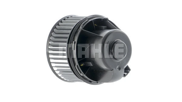 Interior Blower