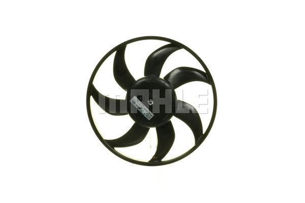 Fan, engine cooling