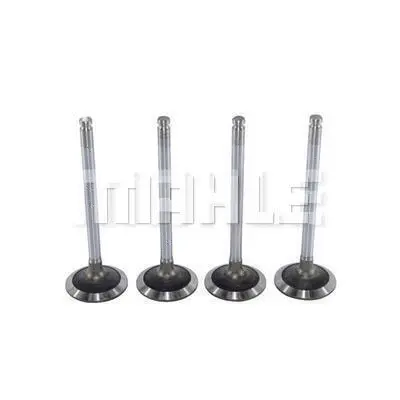 Intake Valve (VA0010211)