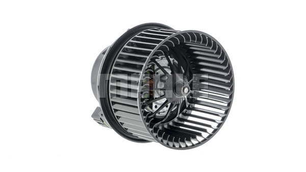 Interior Blower