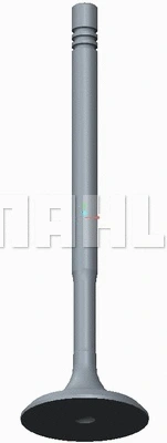 Intake Valve (029 VE 31752 000)