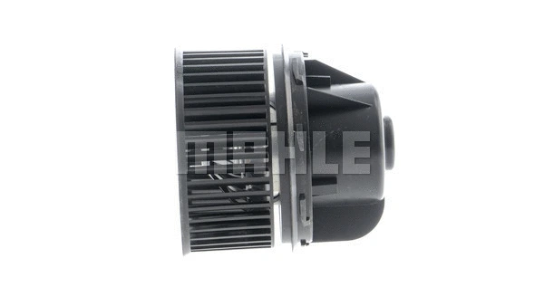 Interior Blower