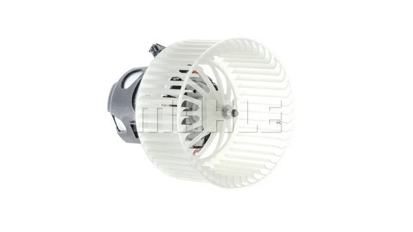 Interior Blower