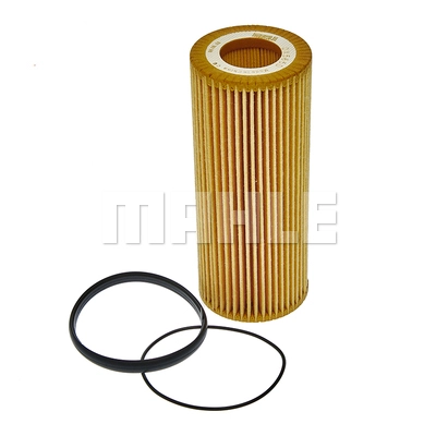 Oil Filter (OX 565D)