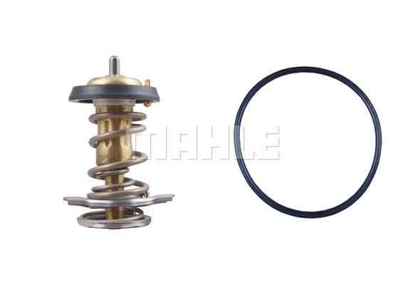 Thermostat, coolant