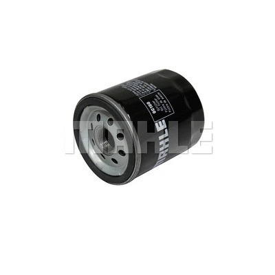 Oil Filter (OC 100)