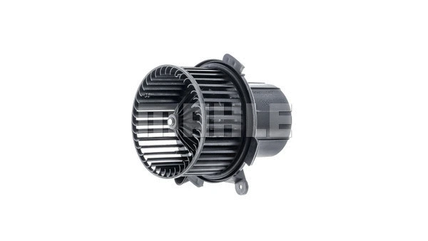 Interior Blower