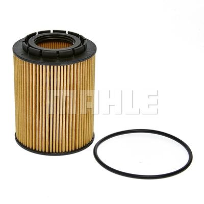Oil Filter (OX 1083D)