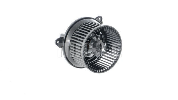 Interior Blower