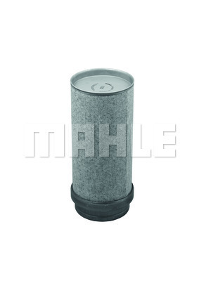 Secondary Air Filter