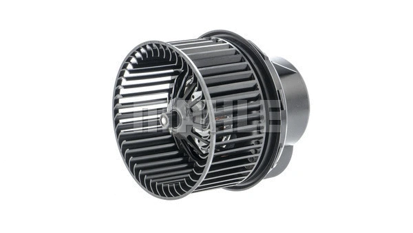Interior Blower