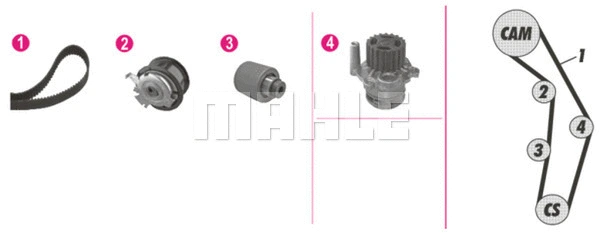 Water Pump & Timing Belt Kit (CPK 25 000P)