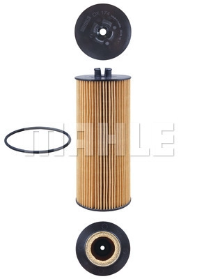 Oil Filter (OX 174D)