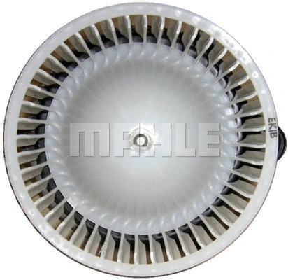 Interior Blower