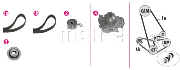 Water Pump & Timing Belt Kit (CPK 81 000P)