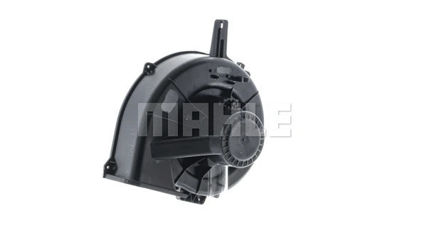 Interior Blower