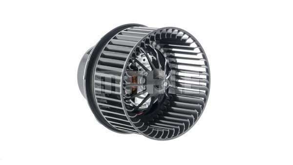 Interior Blower