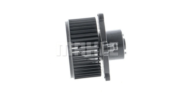 Interior Blower