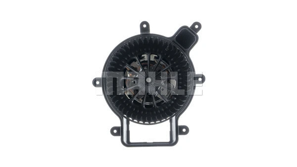 Interior Blower