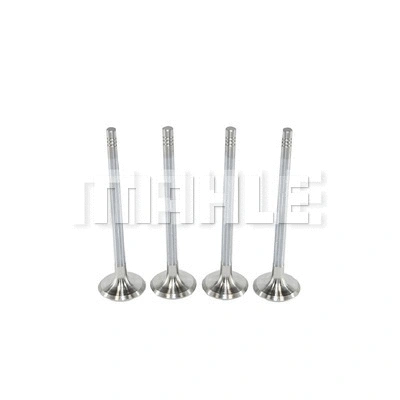 Exhaust Valve (VE0140075)