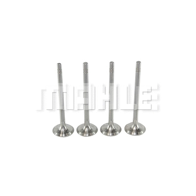 Exhaust Valve (VE0700253)