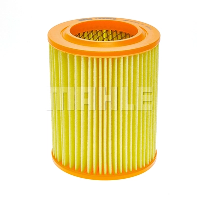Air Filter (LX 4860)