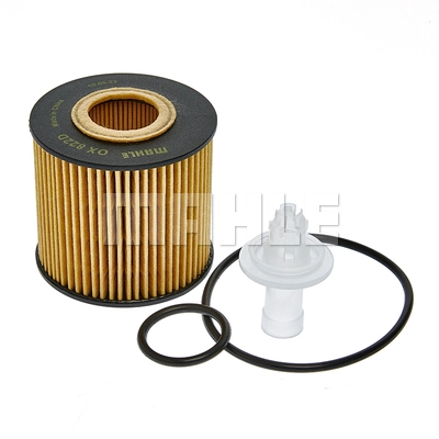 Oil Filter (OX 822D)